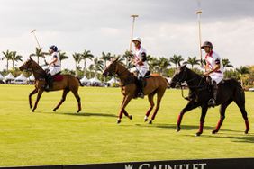 C.V. Whitney Cup Wellington FL