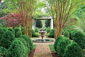 Boxwood Garden with Fountain