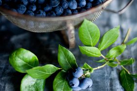 Blueberries on a Branch