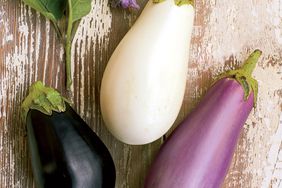 Growing Eggplant