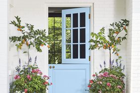 Blue Skies Front Door with Orange Trees and Flowers