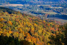 Mountainside covered in Tress with Orange and Yellow Leaves in Sewanee, TN