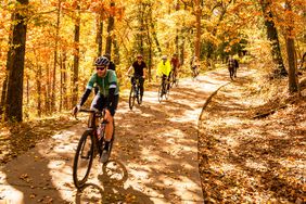 Coler Mountain Bike Preserve Trail