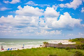 Dunedin's Honeymoon Island