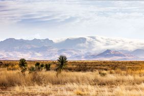 Marfa, Texas