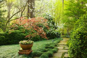 Louise Wrinkle's garden in Birmingham, Alabama