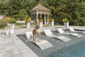 Bishop the Dog Southern Living Idea House Garden Folly