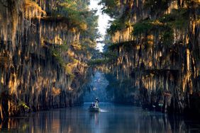 Caddo Lake Texas