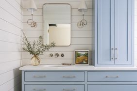 Remodeled Bathroom with Blue Sinks and Shiplap