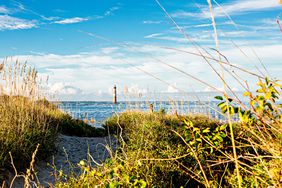 Folly Beach, SC