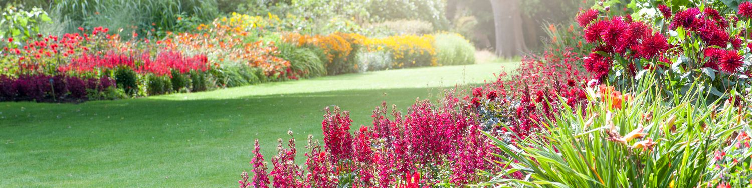 Green lawn with flower gardens in foreground and background