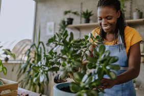 Woman Tending to Houseplants