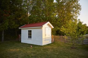 Shed in Backyard