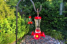 Humming bird feeder