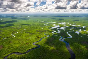 Everglades