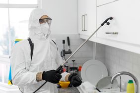 pest exterminator working in kitchen