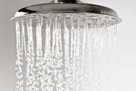 Rainfall Shower Head