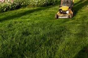 mowing the grass