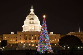 U.S. Capitol Christmas Tree