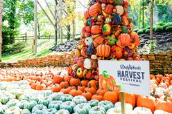 Dollywood's Harvest Festival sign and tower of pumpkins