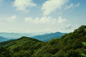 Green Mountain Tops of the Great Smoky Mountains National Park