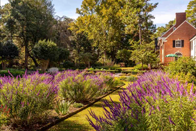 Weymouth Center for the Arts and Humanities grounds