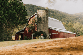 Tiger Mountain Vineyards